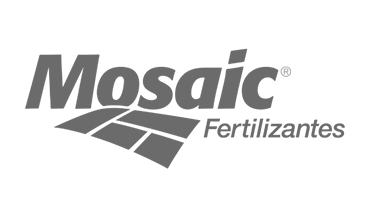 Mozaic